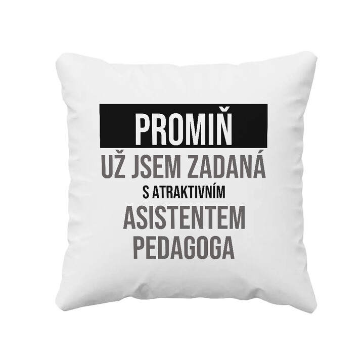 Promiň, už jsem zadaná s atraktivním asistentem pedagoga - polštář s potiskem