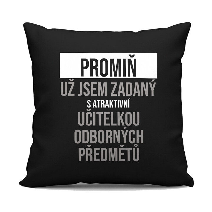 Promiň, už jsem zadaný s atraktivní učitelkou odborných předmětů - černý polštář s potiskem