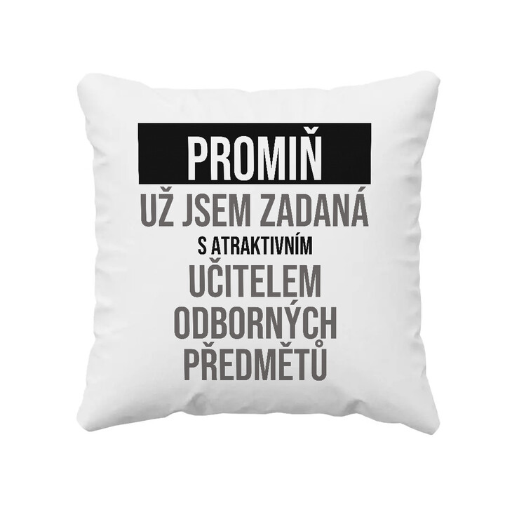 Promiň, už jsem zadaná s atraktivním učitelem odborných předmětů - polštář s potiskem