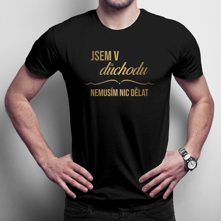 Jsem v důchodu, nemusím nic dělat - pánské tričko s potiskem
