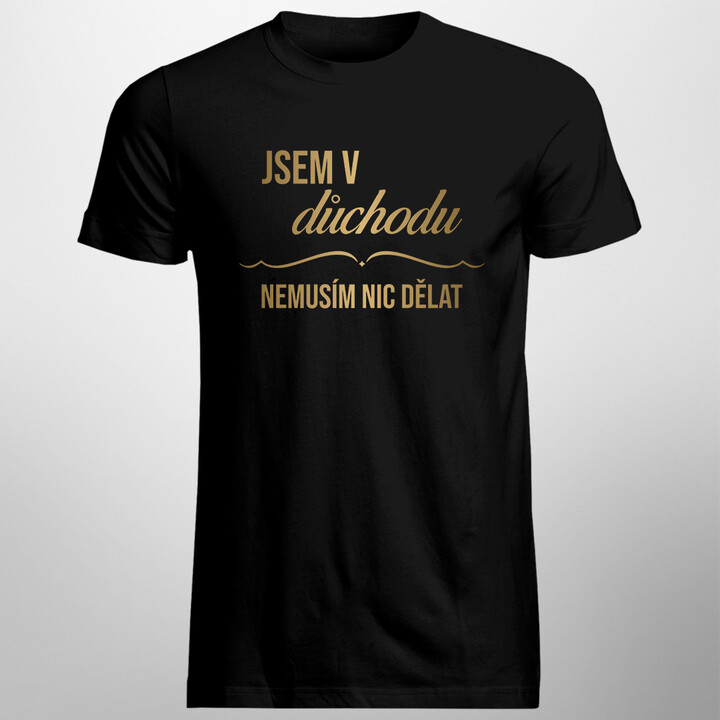 Jsem v důchodu, nemusím nic dělat - pánské tričko s potiskem