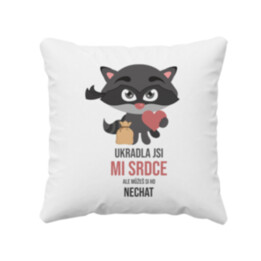 Ukradla jsi mi srdce, ale můžeš si ho nechat - polštář