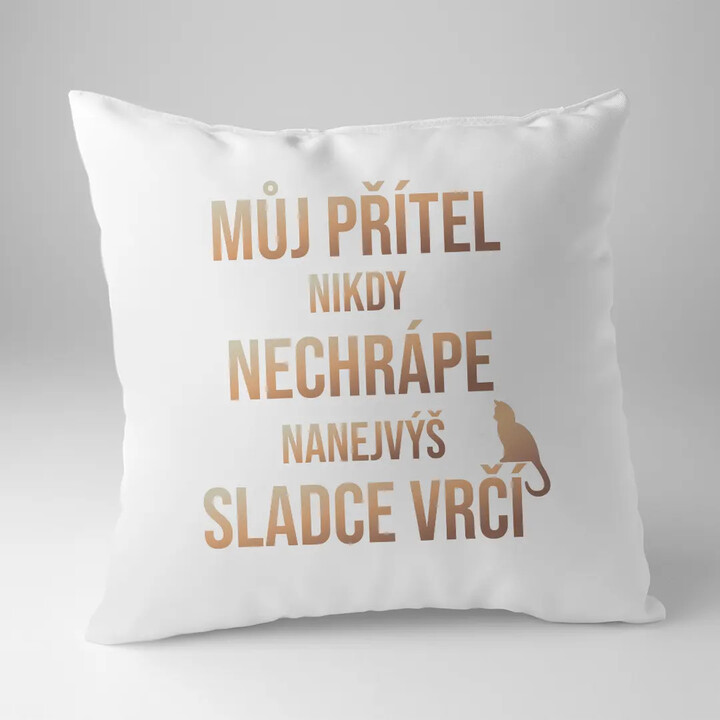 Můj přítel nikdy nechrápe, nanejvýš sladce vrčí - polštář
