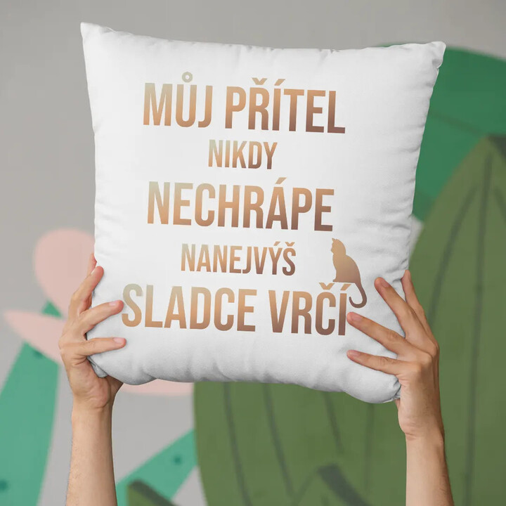 Můj přítel nikdy nechrápe, nanejvýš sladce vrčí - polštář
