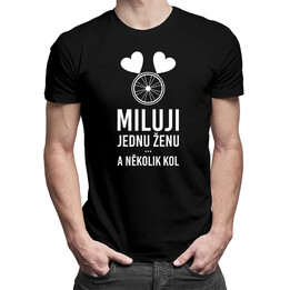 Miluji jednu ženu a několik kol - pánské tričko s potiskem