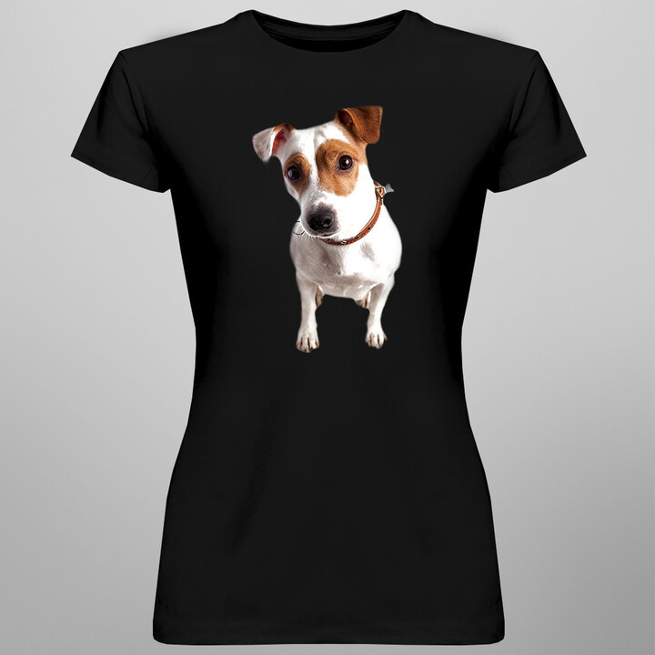 Jack Russell terrier - Jack Russell teriér - dámské tričko s potiskem