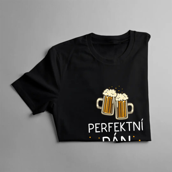 Perfektní pán domu - pánské tričko s potiskem