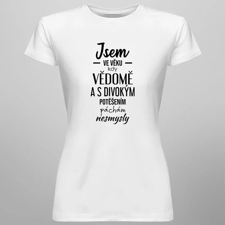 Jsem ve věku, kdy vědomě a s divokým potěšením páchám nesmysly - dámské tričko s potiskem