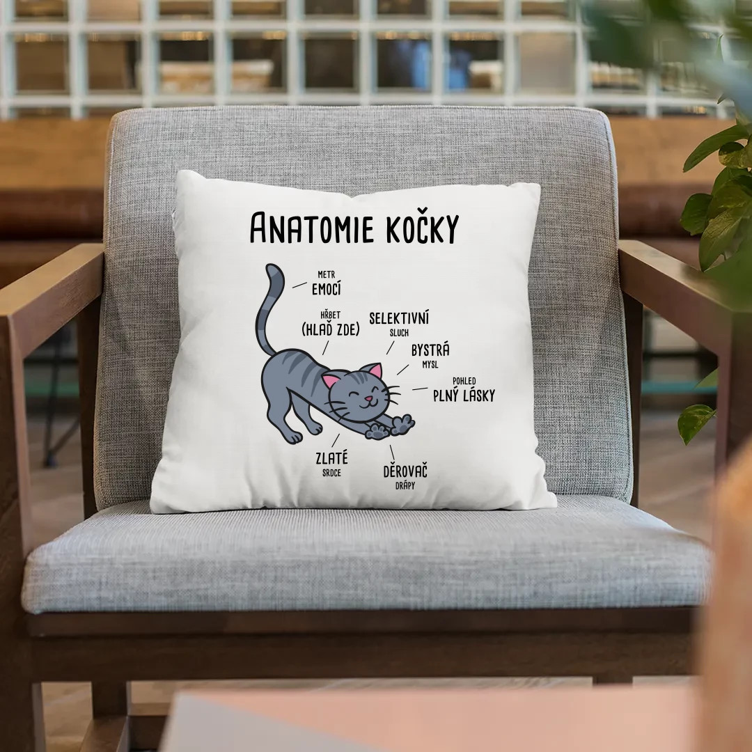 Anatomie kočky - polštář s potiskem