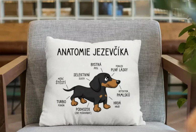Nápady na dárky do 300 Kč, 500 Kč a 1000 Kč