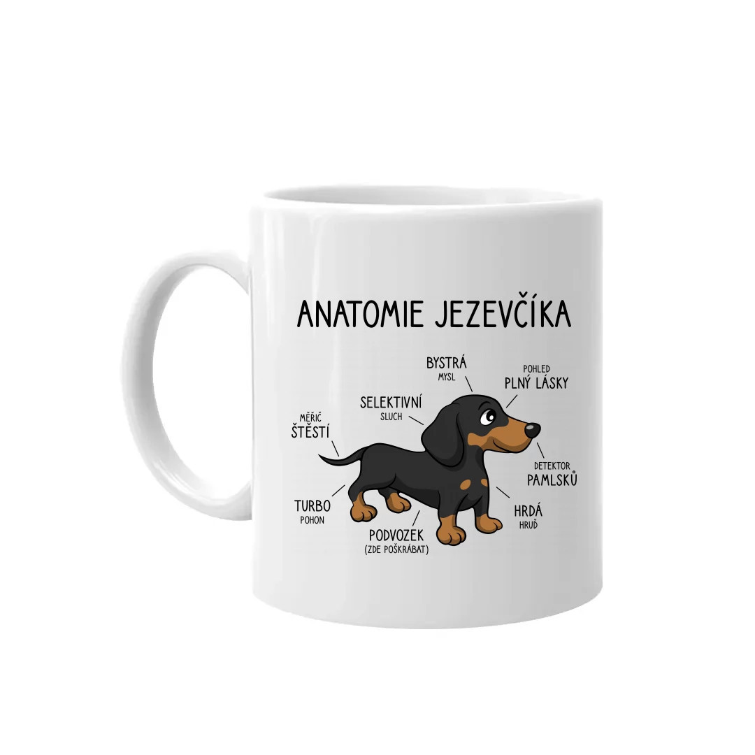 Anatomie jezevčíka - hrnek s potiskem