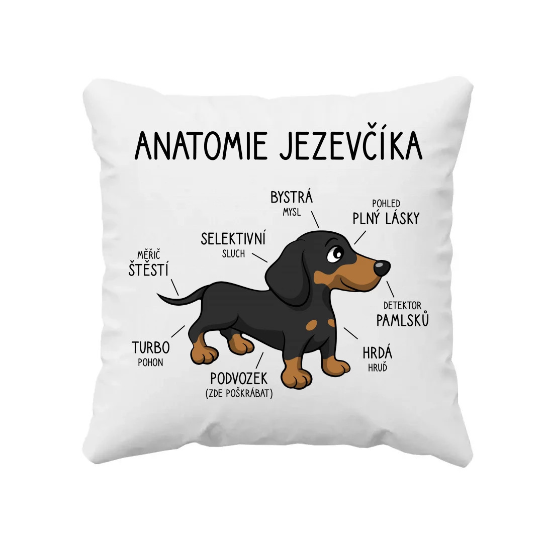 Anatomie jezevčíka - polštář s potiskem
