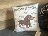 Fotografie přiložená k recenzi