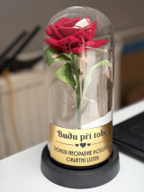 Fotografie přiložená k recenzi
