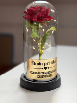 Fotografie přiložená k recenzi