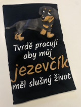 Fotografie přiložená k recenzi
