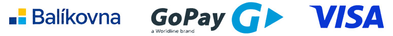 Balíkovna, GoPay, Visa