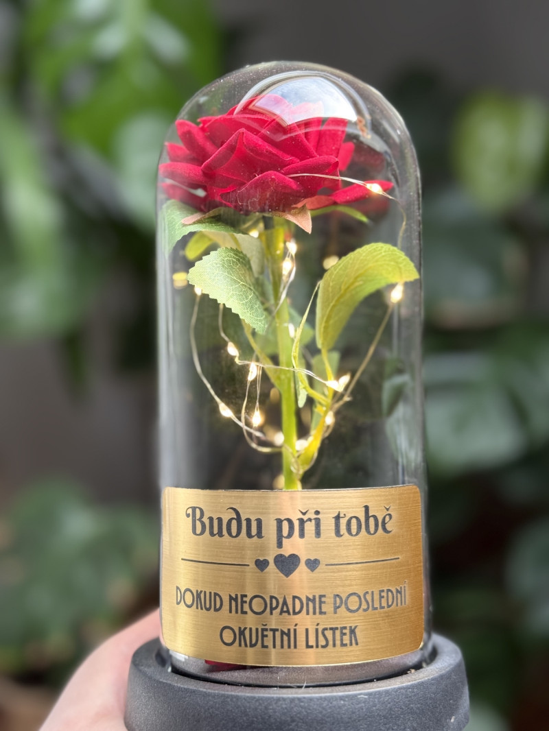 cepr2vwdxk2vobjjdzvq-thumbnail.jpg